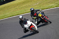 Vintage-motorcycle-club;eventdigitalimages;mallory-park;mallory-park-trackday-photographs;no-limits-trackdays;peter-wileman-photography;trackday-digital-images;trackday-photos;vmcc-festival-1000-bikes-photographs